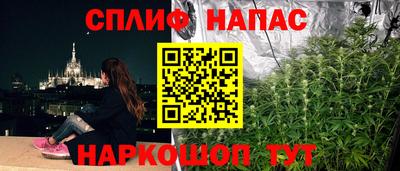 стаф Кунгур