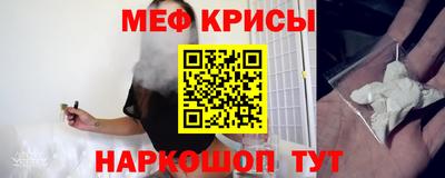 стаф Кунгур
