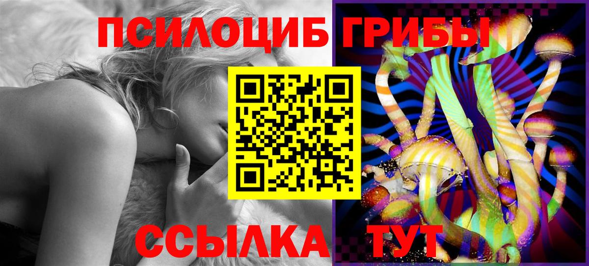 Псилоцибиновые грибы Cubensis Ефремов